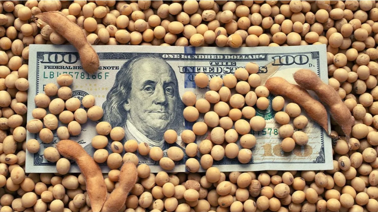 Dólar soja: Los agroexportadores consideraron que el país necesita unificar el tipo de cambio